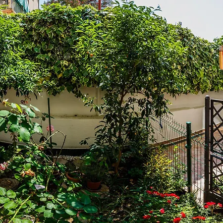 斯巴拉迪恩别墅酒店 4* 斯普利特